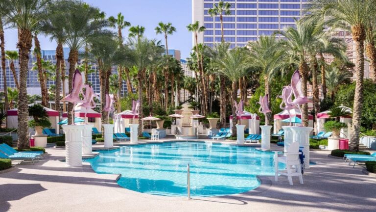 flamingo family pool 2 768x432