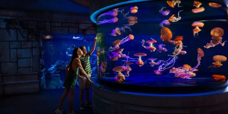 mandalay bay resort las vegas 4 768x384